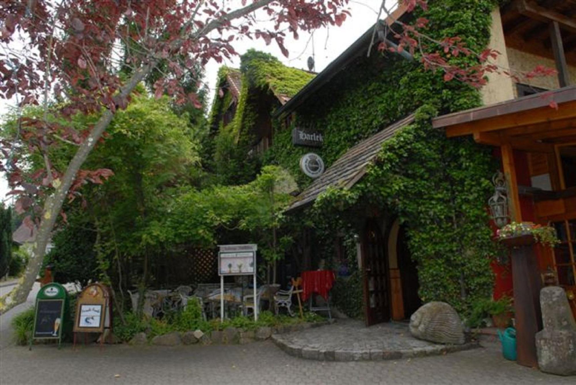 Alte Schreinerei-Auberge Harlekin Randegg Extérieur photo